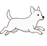 Prévient les pertes de vitalité