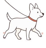 Soutient les systèmes immunitaire et digestif