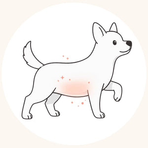 Digestion facilitée
