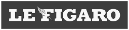Logo média