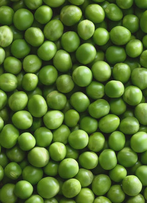 Pois verts